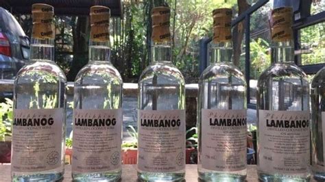 best lambanog|Lambanog among TasteAtlas's best spirits worldwide.